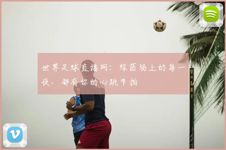 世界足球直播网：绿茵场上的每一夜，都有你的心跳节拍